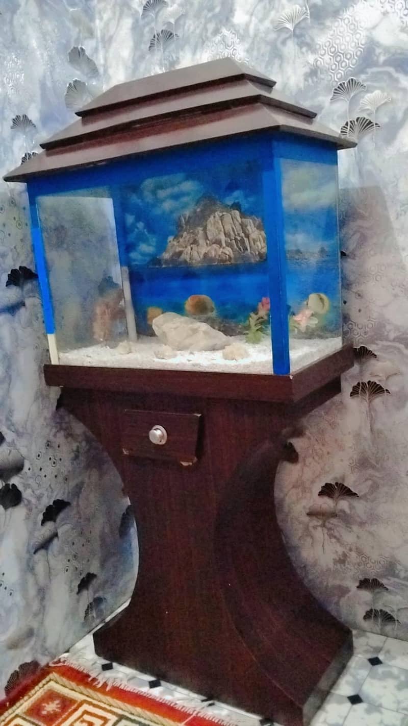 FISH  BOXPREMIUM 3