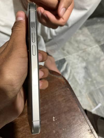 Apple iPhone 1 Pro