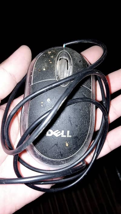 Dell Computer
