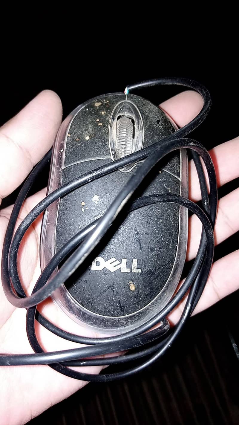 Dell Computer 0