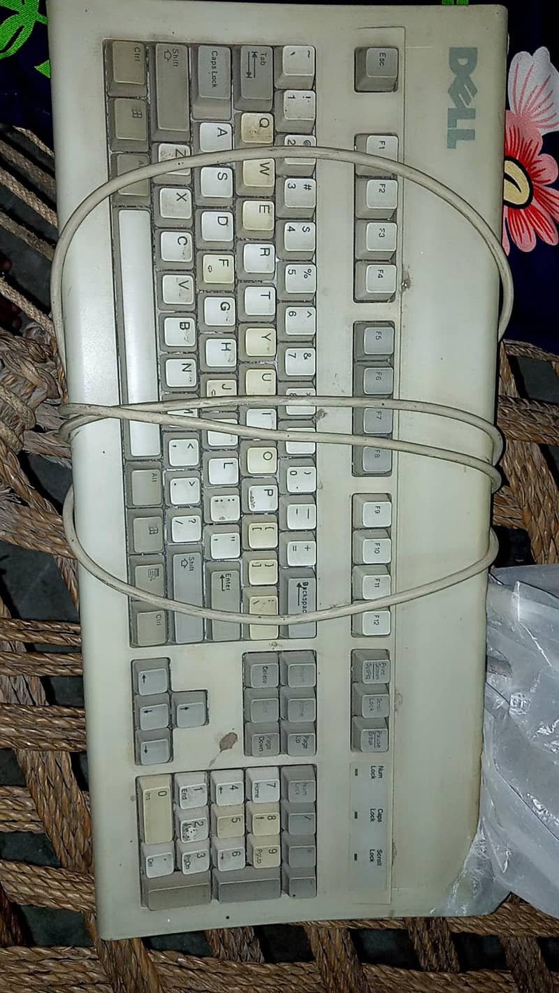 Dell Computer 1