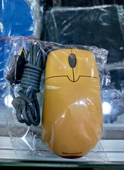 mouse