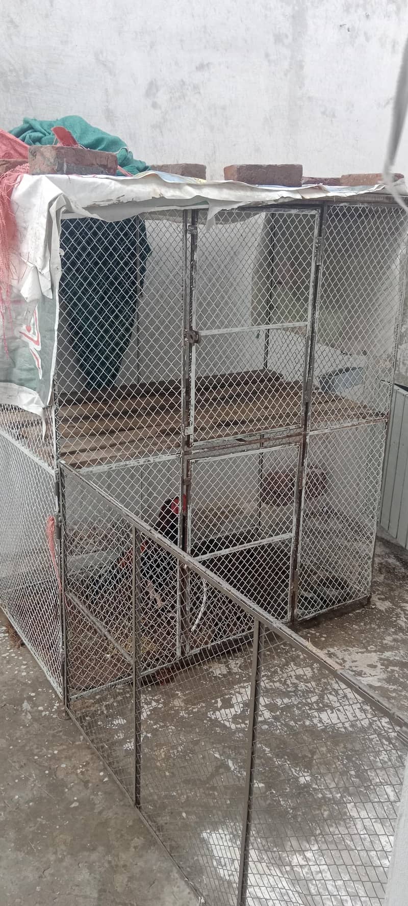 cages 0