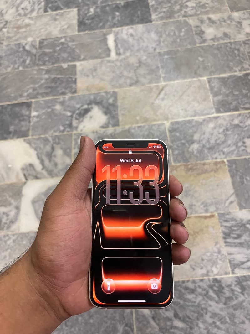 Apple iPhone 12 0