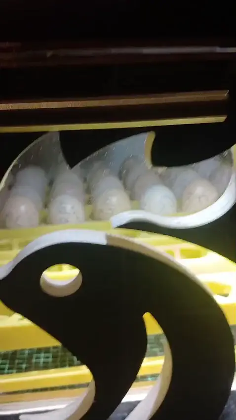 56 Eggs Full Automatic Incubator with silicone heating wire — photo 5