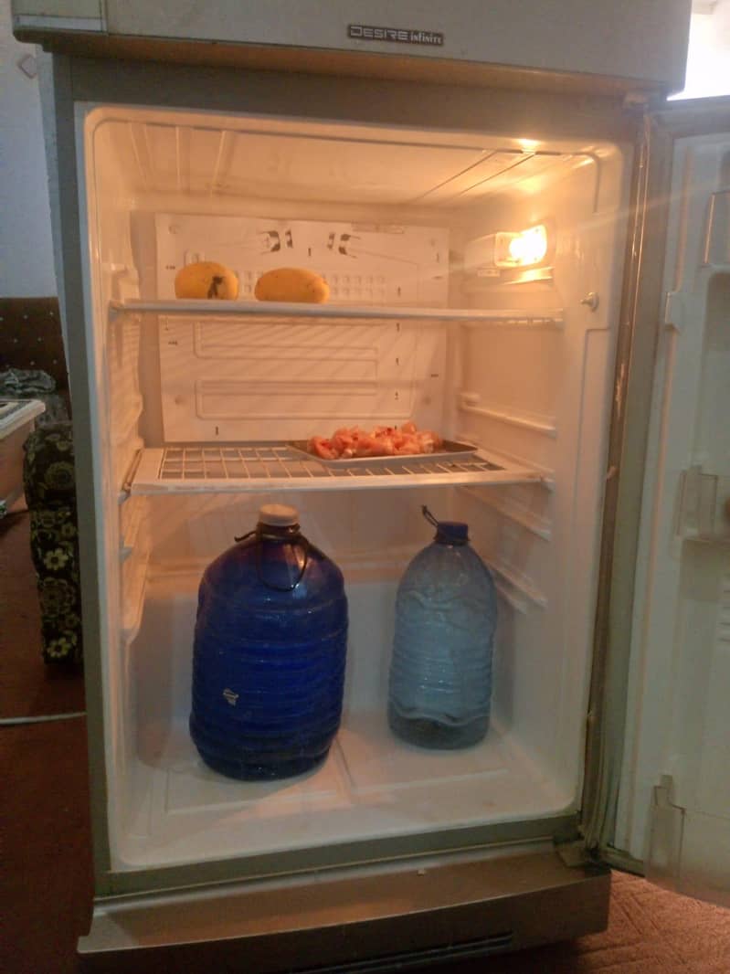 pel fridge 1