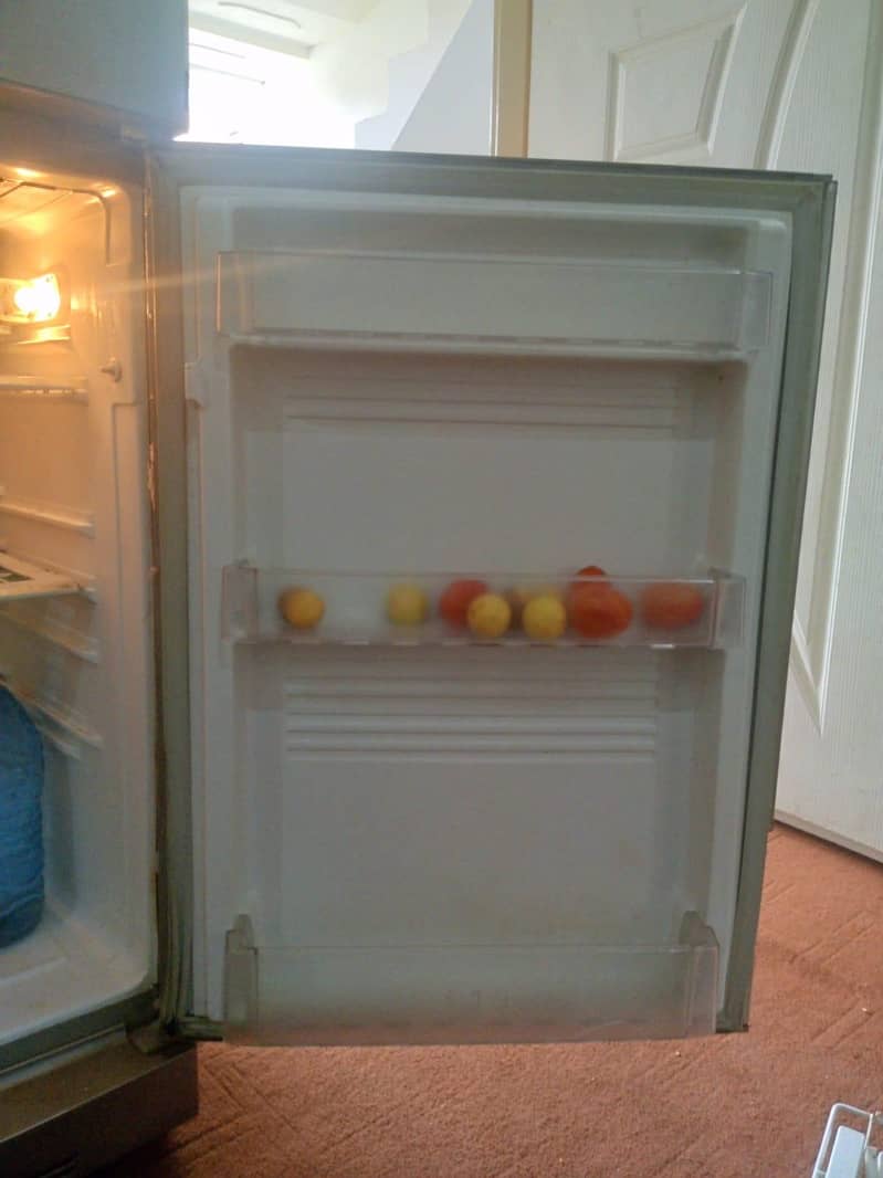 pel fridge 2