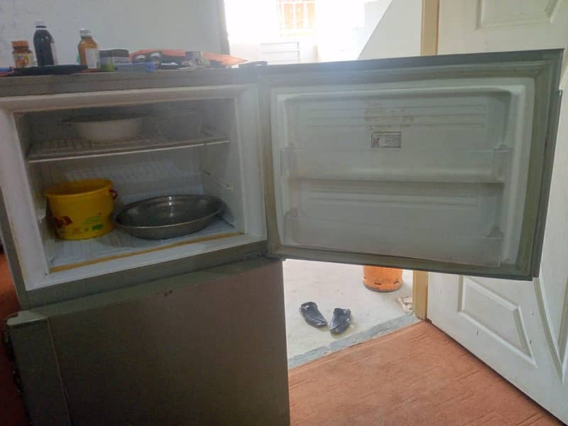 pel fridge 3