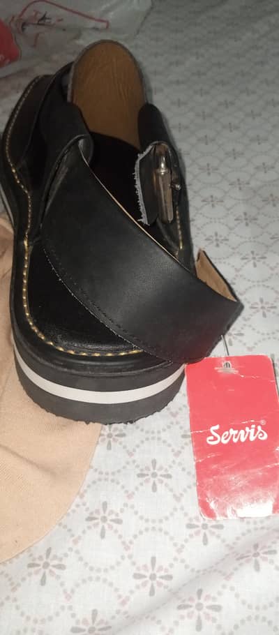 service captan chapal
