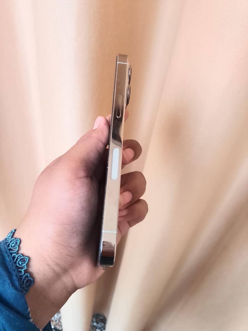 Apple iPhone 13 Pro 1