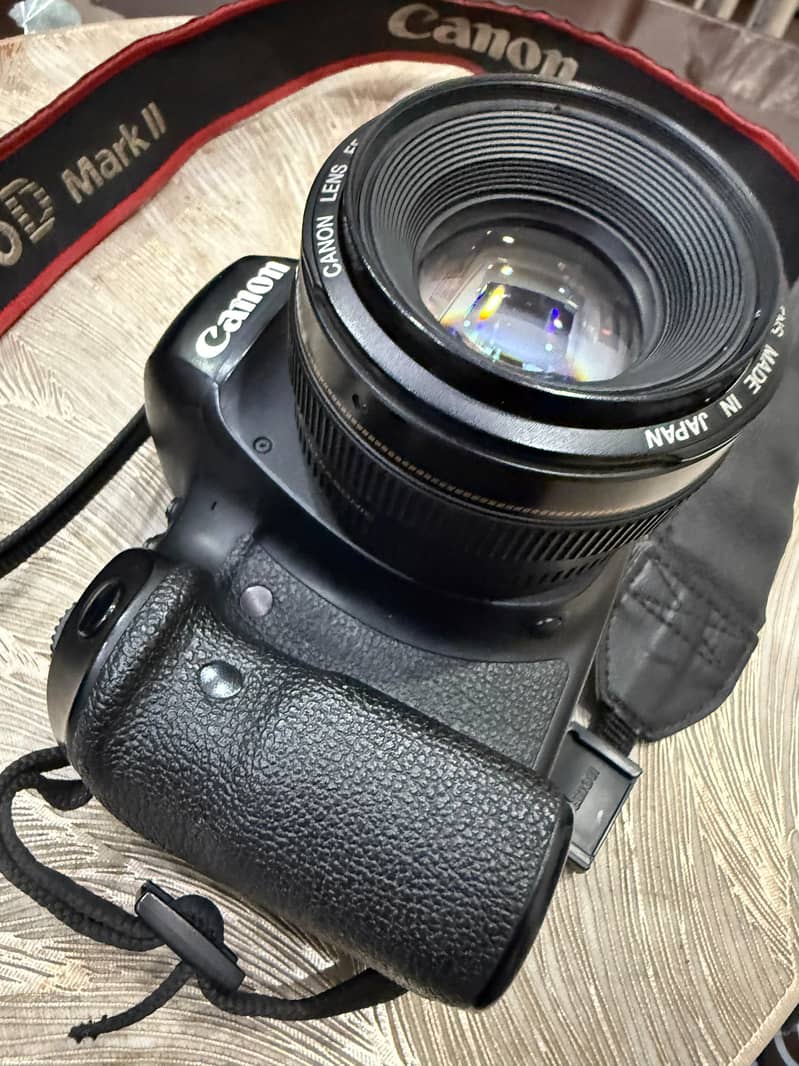 Canon 6D Mark2 7