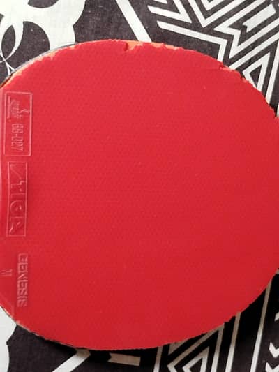 Table tennis racket for beginner to intermediate with speed rubbers