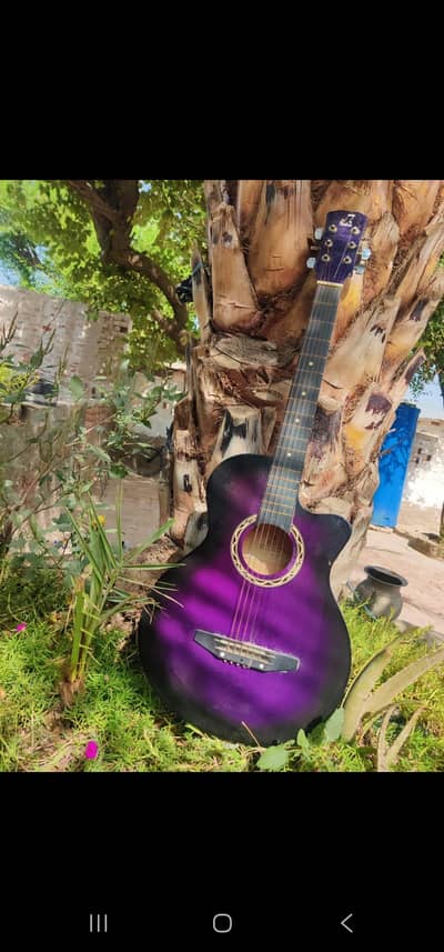 Guitar with bag