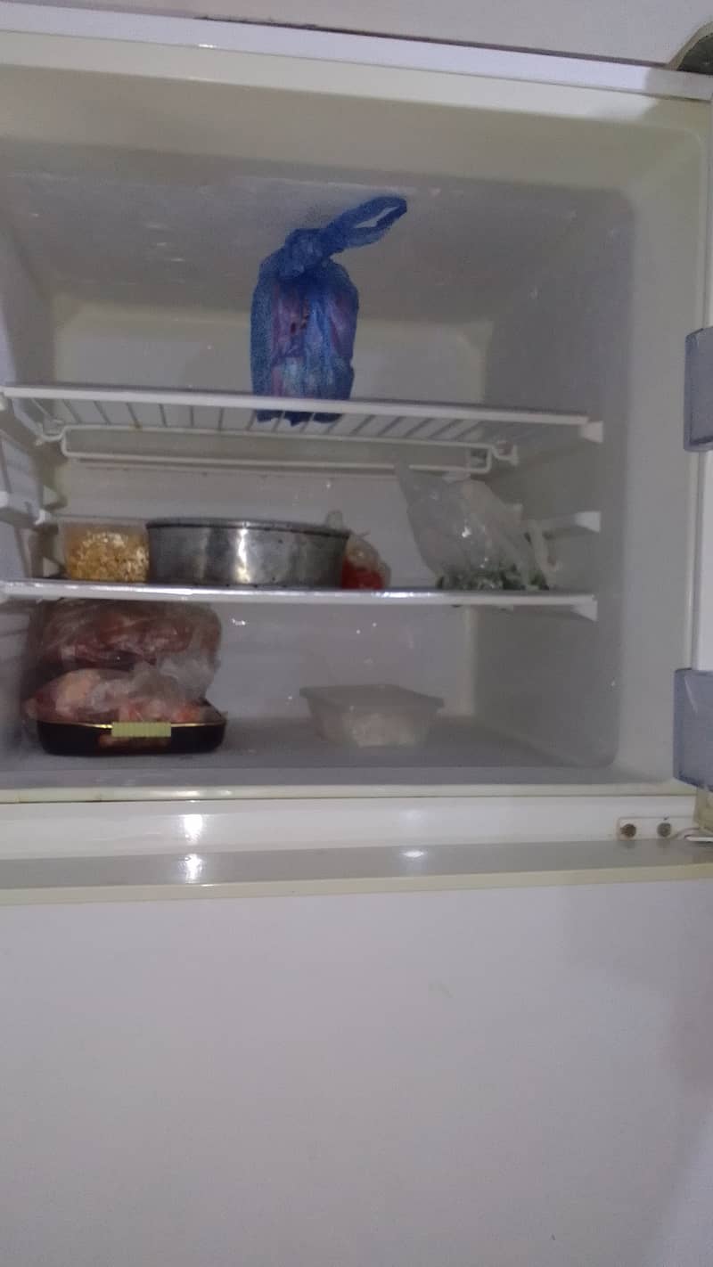 Fridge 3