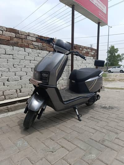 pronto plus for sale