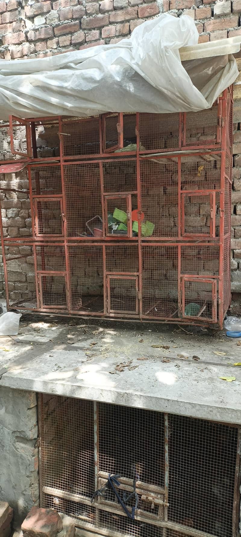 Iran cage 0
