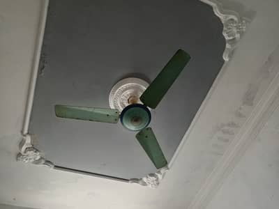 Ceiling Fan 56 inch