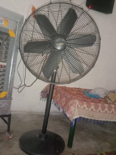 alhabib fans