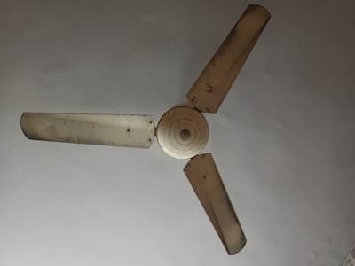 Ceiling Fan