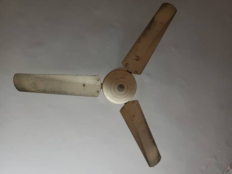 Ceiling Fan 0