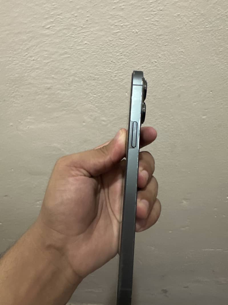 Apple iPhone 13 Pro Max 1