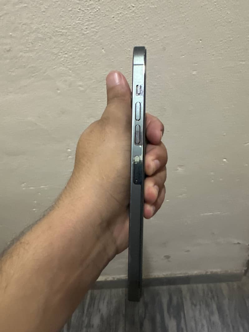 Apple iPhone 13 Pro Max 2