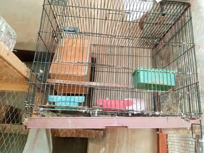 cage for sale