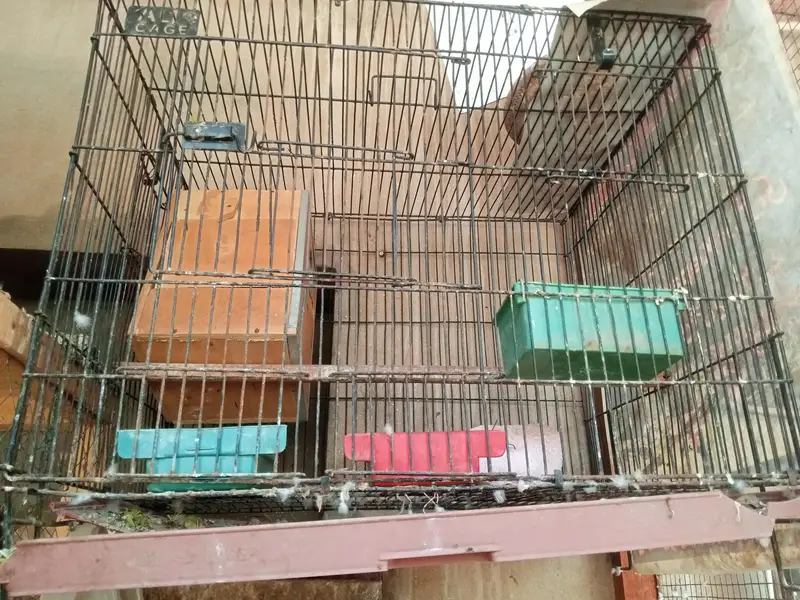 cage for sale — photo 2