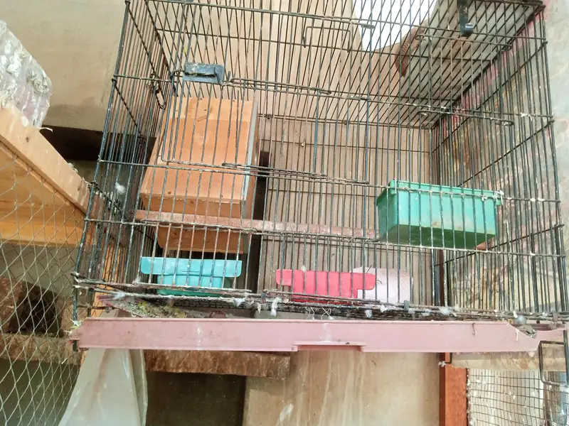 cage for sale — photo 3