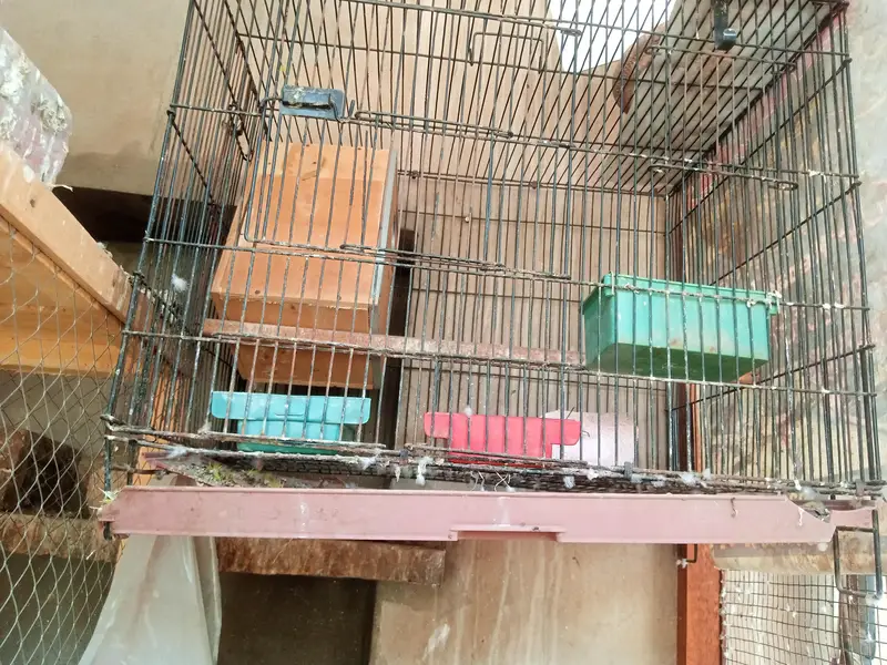 cage for sale — photo 4