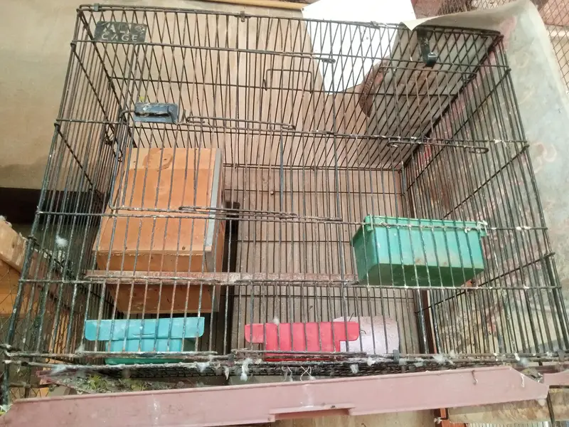 cage for sale — photo 5