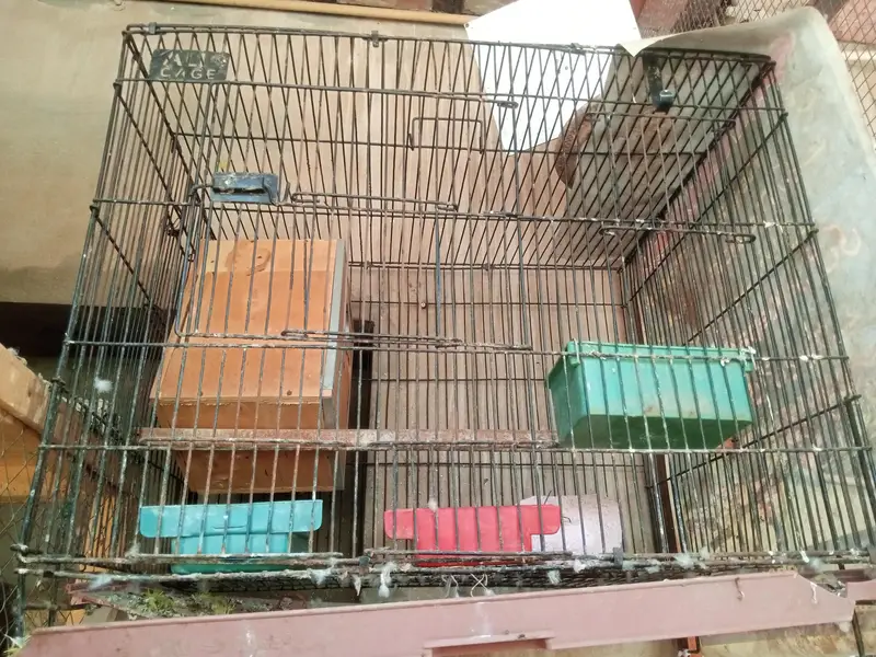 cage for sale — photo 6