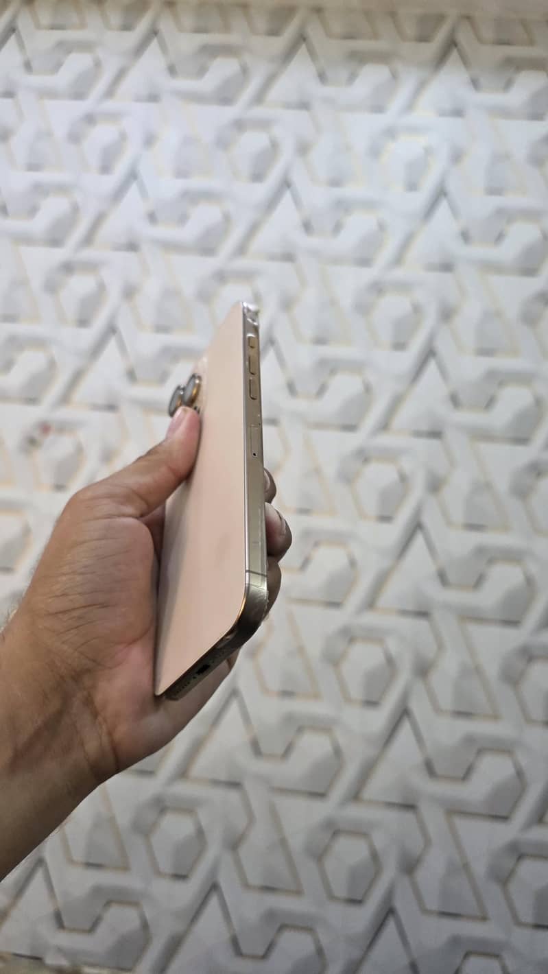 Apple iPhone 16 Pro Max 2