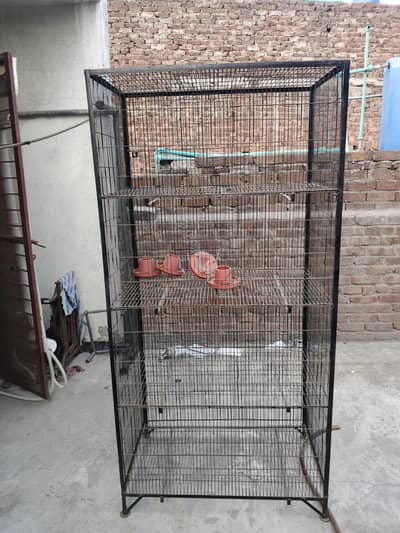 High-Quality Chicken/Poultry Cages for Sale - Mazboot aur Paayedar