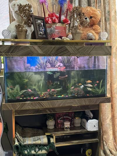 Aquarium | Fish Tank | Aquarium with complete setup |Aquarium for sale
