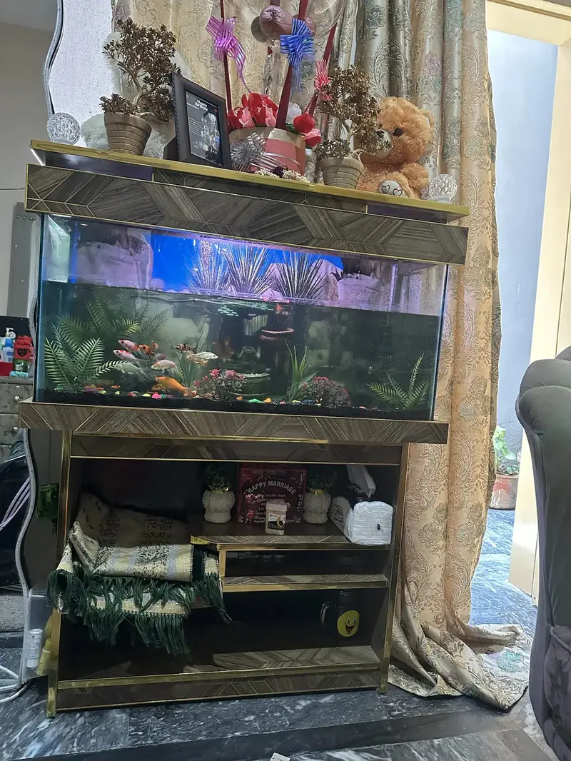 Aquarium | Fish Tank | Aquarium with complete setup |Aquarium for sale — photo 4