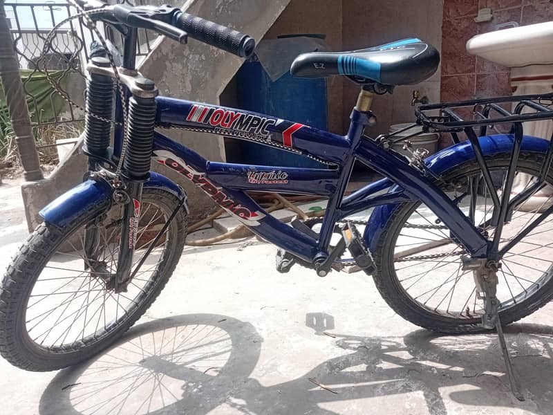 Bicycle Medium Size 0