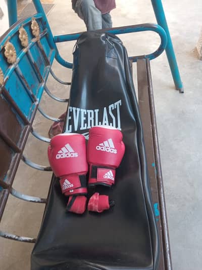 Boxing bag and gloves for sale