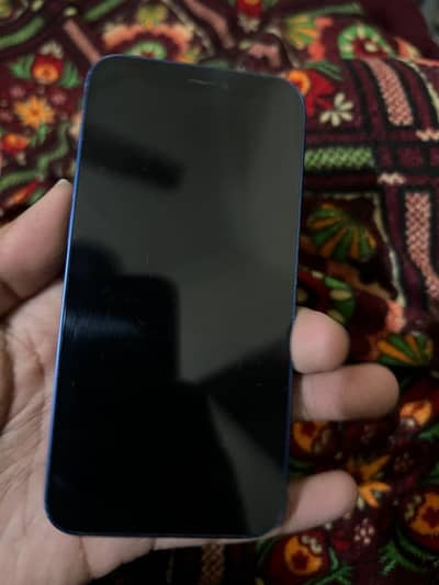 Apple iPhone 12 mini