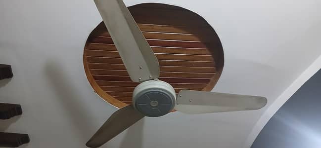 1 ceiling fans