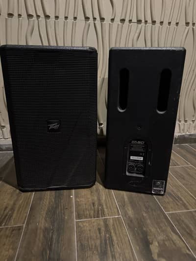 Peavey Speaker Monitors