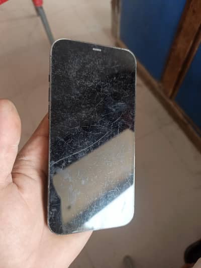 Apple iPhone 12 Pro Max owner lock