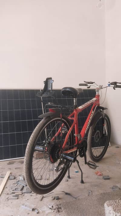 phoenix bicycle