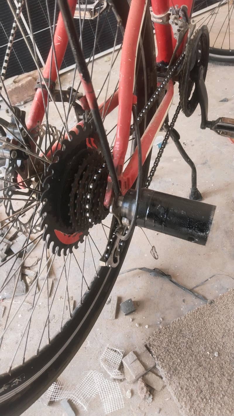 phoenix bicycle 1