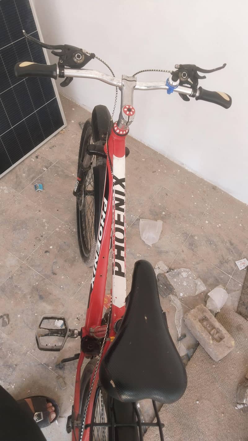 phoenix bicycle 2