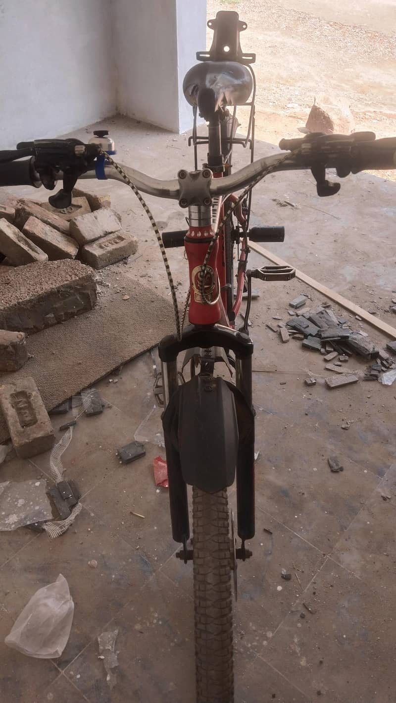 phoenix bicycle 3