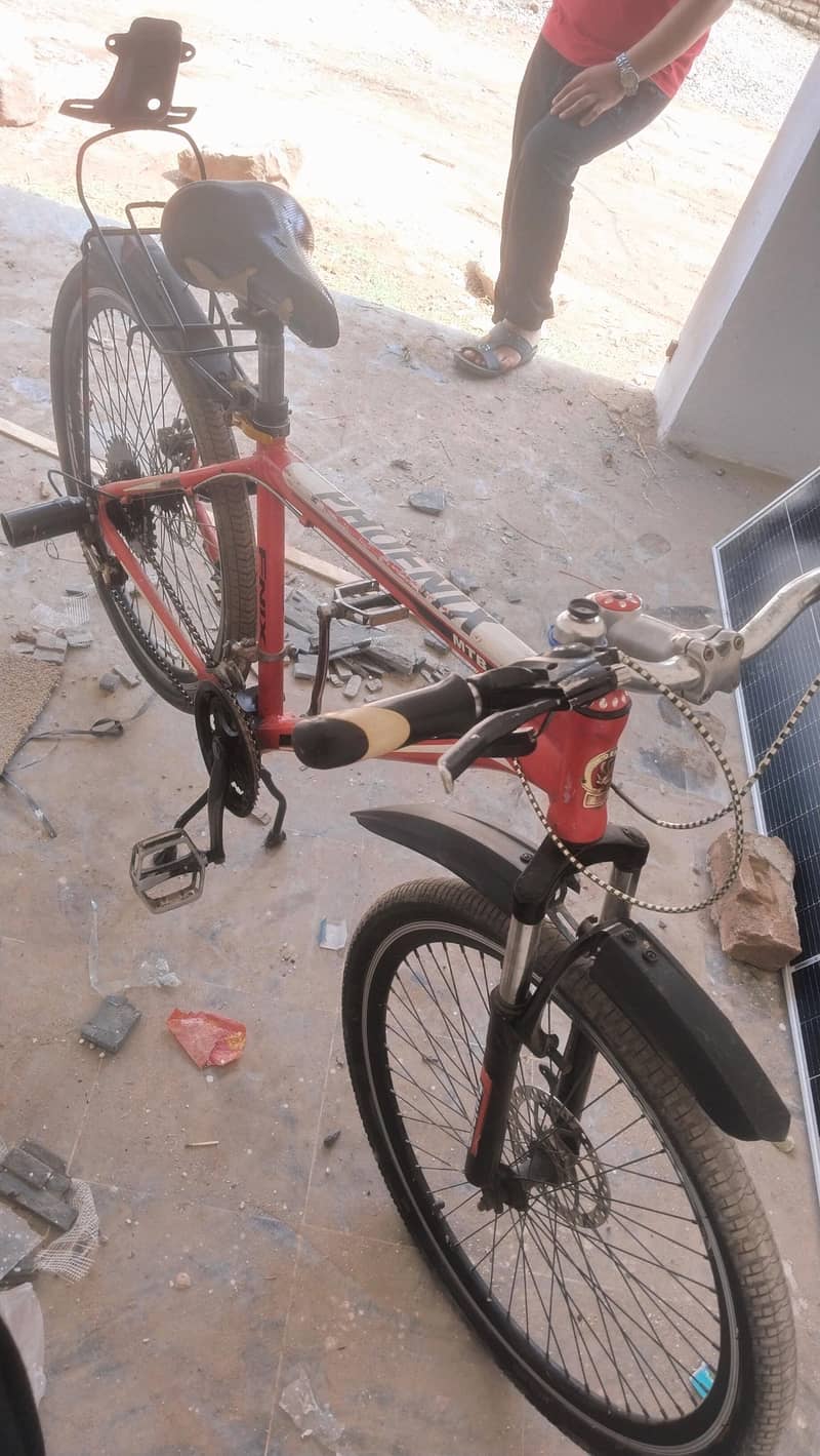 phoenix bicycle 4