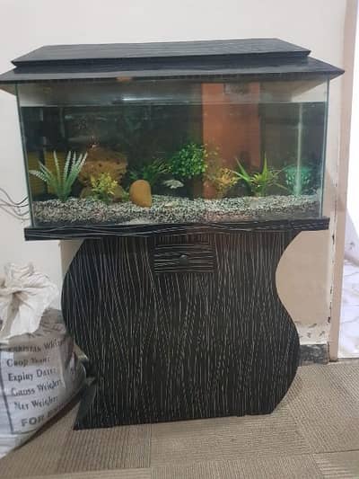 Fish + aquarium 3 feet