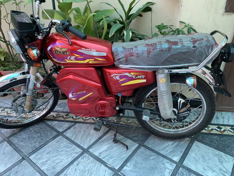 MS Jaguar E-125 Electric Bike, EV Bike 6