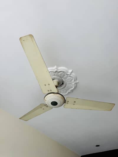 Royal roof fan